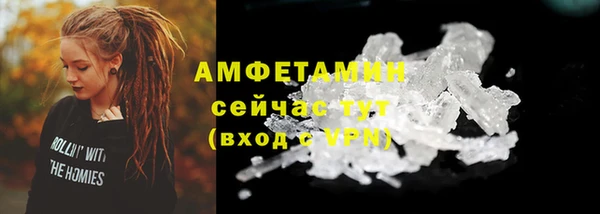 ГАЛЛЮЦИНОГЕННЫЕ ГРИБЫ Алексин